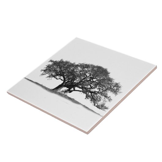 BLACK OAK BAUM FLIESE (Seite)