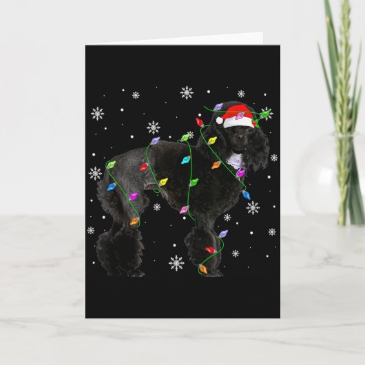 Black Odle Dog Christmas Lights Funny Santa Hat Do Karte (Vorderseite)