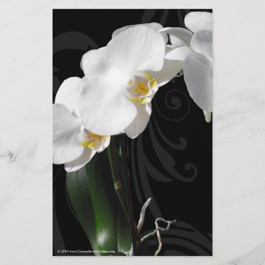 Black Orchid Flyer, Hochzeitsprogramm, Menü oder a (Hinten)