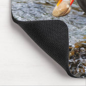 Black Oystercatcher Shorebird Fischen am Strand Mousepad (Ecke)