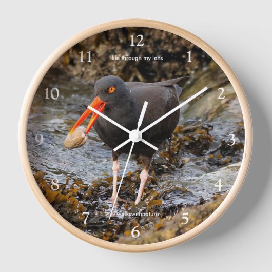 Black Oystercatcher Shorebird Fischen am Strand Uhr (Vorderseite)