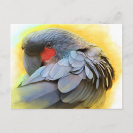Black Palm Cockatoo realistisches Bild Postkarte