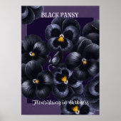 Black Pansy Dark Blume Affirmation Poster (Vorne)