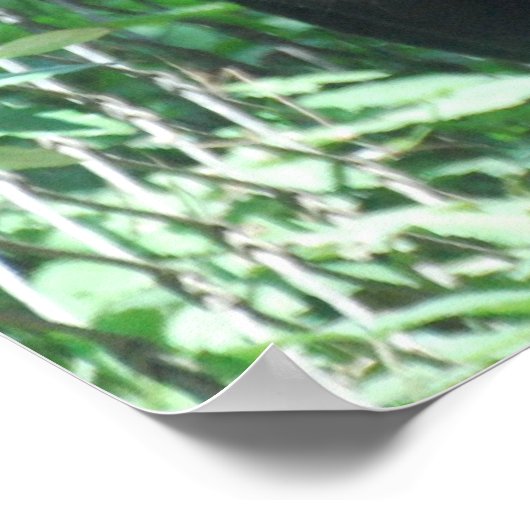 Black Panther Cat Poster (Ecke)