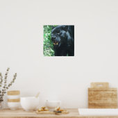 Black Panther Cat Poster (Küche)
