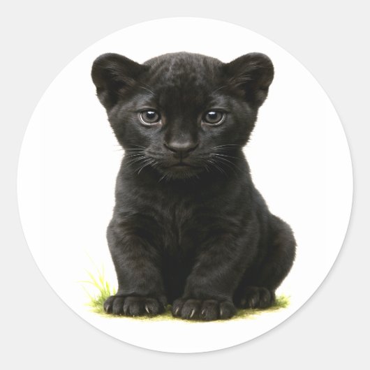 Black Panther Cube mit Big Eyes Runder Aufkleber (Vorderseite)