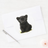 Black Panther Cube mit Big Eyes Runder Aufkleber (Umschlag)