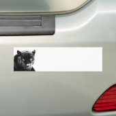 Black Panther Jaguar Autoaufkleber (Auf Auto)