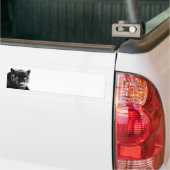 Black Panther Jaguar Autoaufkleber (Auf Lkw)