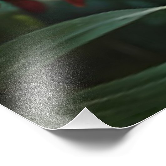 Black Panther - Jaguar in Dschungelroten Blume Fotodruck (Ecke)