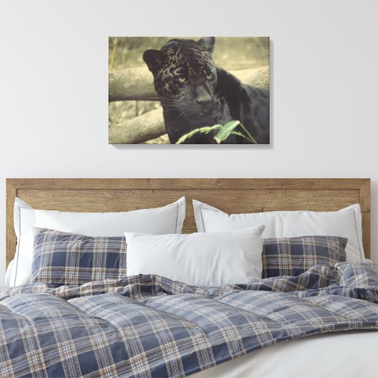 Black Panther Jaguar Leinwanddruck (Insitu (Schlafzimmer))