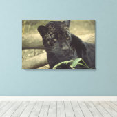 Black Panther Jaguar Leinwanddruck (Insitu (Holzboden))