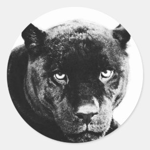 Black Panther Jaguar Runder Aufkleber