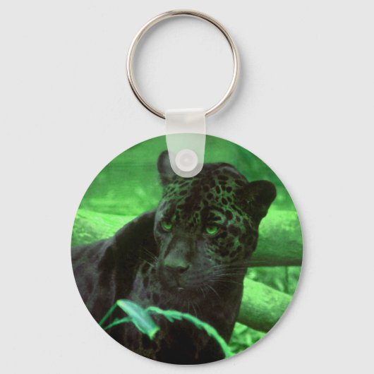 Black Panther Jaquar auf Green Schlüsselanhänger (Vorderseite)