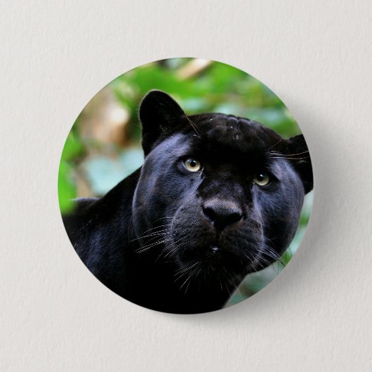 Black Panther Macro Button (Vorderseite)
