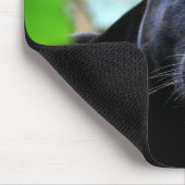 Black Panther Macro Mousepad (Ecke)