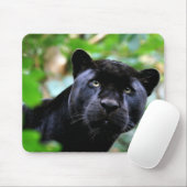 Black Panther Macro Mousepad (Mit Mouse)