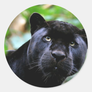 Black Panther Macro Runder Aufkleber