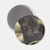 Black Panther Magnet (Vorderseite/Rückseite)