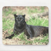 Black Panther Mousepad (Vorne)