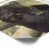 Black Panther Poster (Ecke)