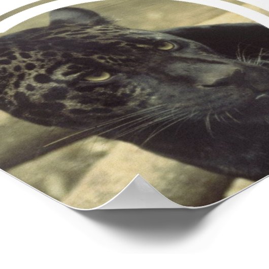 Black Panther Poster (Ecke)