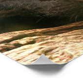 Black Panther Sleeping Poster (Ecke)