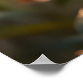 Black Panther Wild Jungle Leopard Big Cat Poster (Ecke)