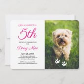 Black Paw Prints Pet Birthday Foto Einladung (Vorderseite)