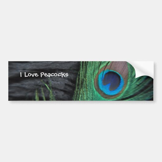 Black Peacock Feather Autoaufkleber (Vorne)