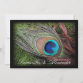 Black Peacock Feather w/Moss Wedding Einladungen (Rückseite)