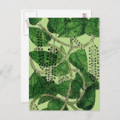 Black Pepper-Pflanze, 1578 Postkarte (Vorne/Hinten)