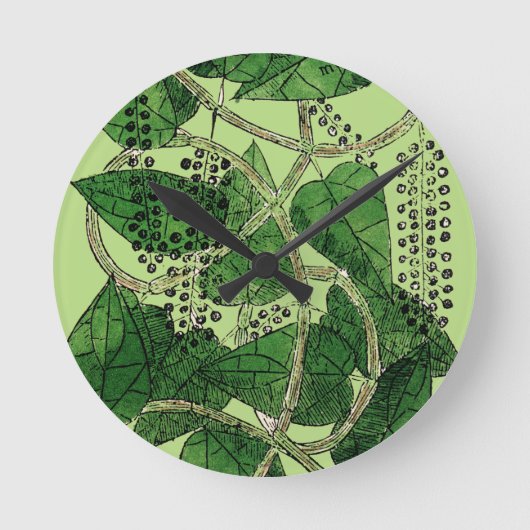 Black Pepper-Pflanze, 1578 Runde Wanduhr (Vorderseite)