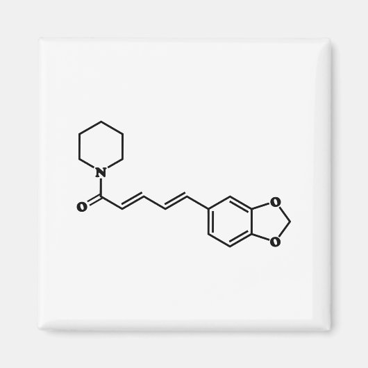 Black Pepper Piperine Molekulare Chemische Formel Magnet (Vorne)
