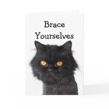 Black Persian Cat Party Einladung