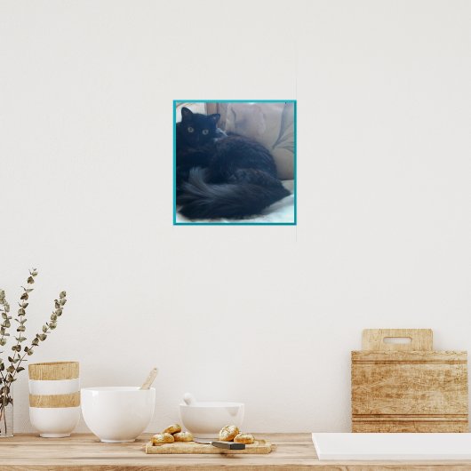 Black Persian Cat Poster (Küche)
