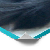 Black Persian Cat Poster (Ecke)