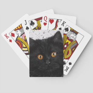 Black Persian Face Spielkarten