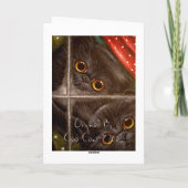 BLACK PERSIAN KITTENS HOLIDAY Card Feiertagskarte (Rückseite)