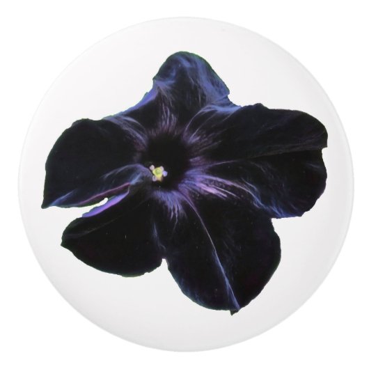 Black Petunia Keramik Knob Keramikknauf (Vorderseite)