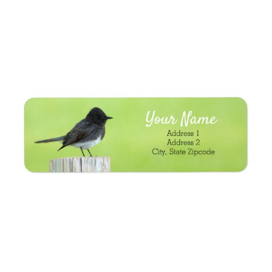 Black Phoebe Bird Address Label (Vorne)
