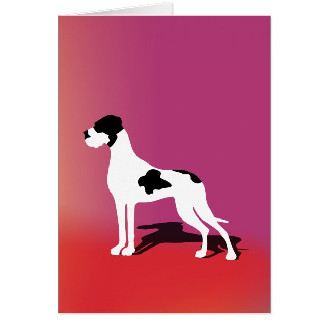 Black Piebald Great Dane (Vorne)