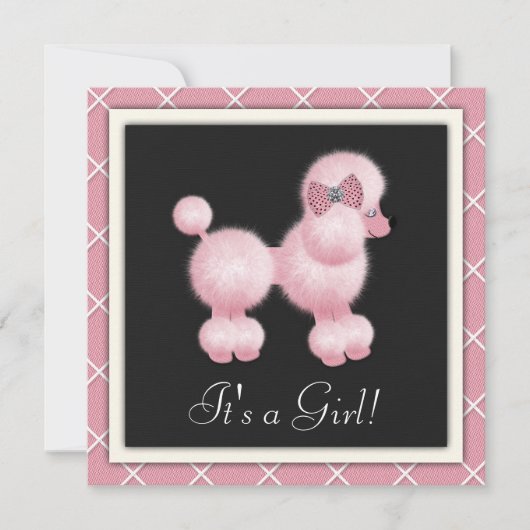 Black Pink Poodle Kinderdusche Einladungen (Vorderseite)