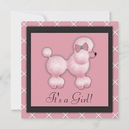 Black Pink Poodle Kinderdusche Einladungen (Vorderseite)