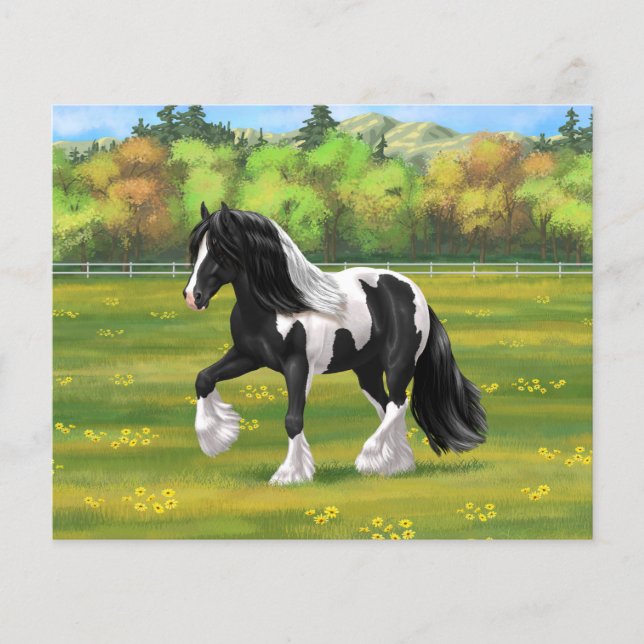 Black Pinto Piebald Gypsy Vanner Draft Horse (Vorderseite)