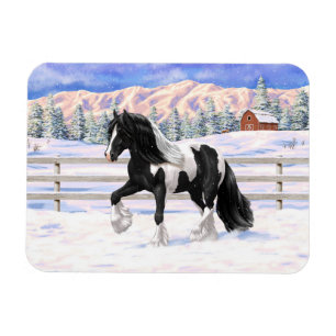 Black Pinto Piebald Sinti und Roma Vanner Entwurf Magnet
