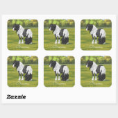 Black Pinto Piebald Sinti und Roma Vanner Entwurf  Quadratischer Aufkleber (Blatt)