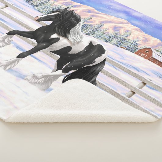 Black Pinto Piebald Sinti und Roma Vanner Entwurf Sherpadecke (3/4)