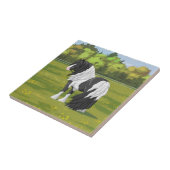 Black Pinto Piebald Sinti und Roma Vanner Pferdewe Fliese (Seite)