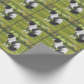 Black Pinto Piebald Sinti und Roma Vanner Pferdewe Geschenkpapier (Ecke)